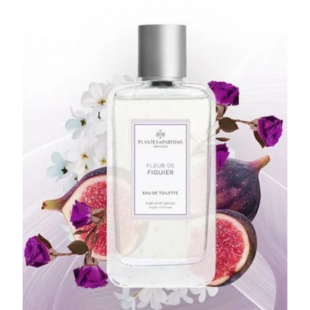 Fleur de Figuier