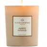 Bougie parfumée Ambre Intense