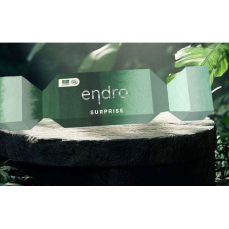 Cracker Surprise Noël