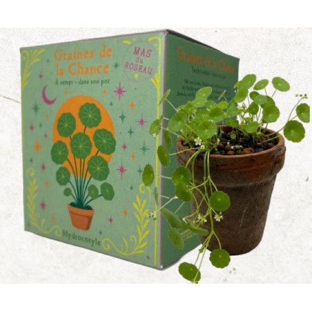 Graines de la Chance