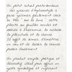 Graines de la Chance