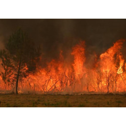 Savon Don Incendies