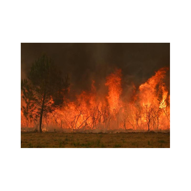 Savon Don Incendies