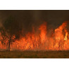 Savon Don Incendies