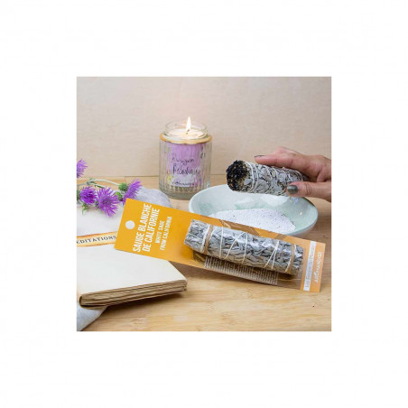 Sauge blanche de Californie