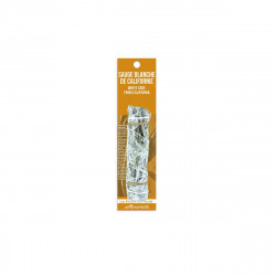 Sauge blanche de Californie