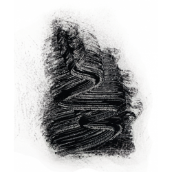 Mascara soin volume noir bio